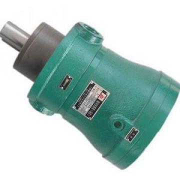 250MCM14-1B Series Axial Piston Motor