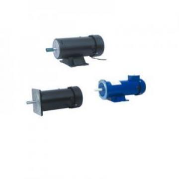 113ZYT Series Electric DC Motor