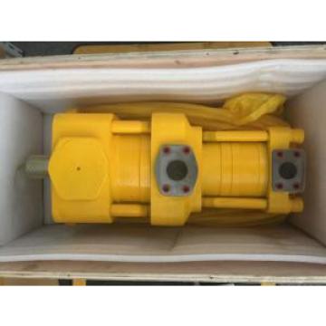 Sumitomo QT2323-6.3-6.3MN-S1162-A Double Gear Pump