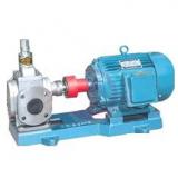 YCB USA Series Arc Gear Pumps