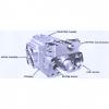 Dansion piston pump gold cup series P6R-5R1E-9A6-B0X-B0